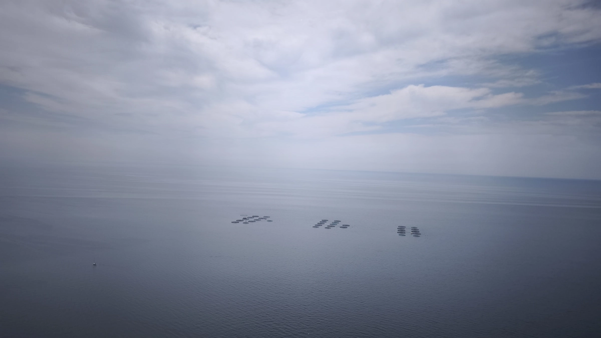 Vista amplia del mar bajo un cielo nublado, con pequeñas agrupaciones de estructuras sobre el agua